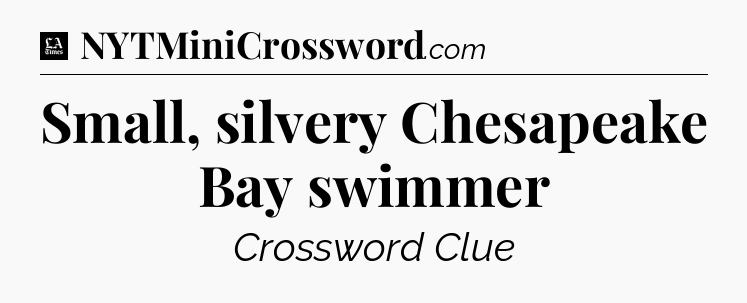 Small, silvery Chesapeake Bay swimmer - LA Times Crossword