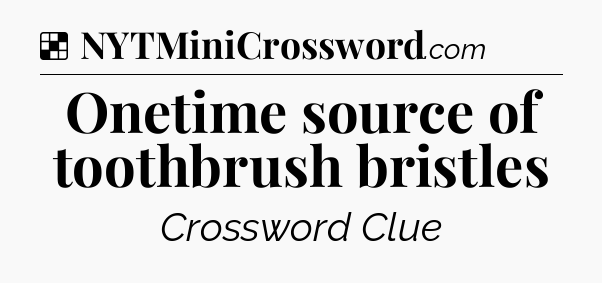Solution: Onetime source of toothbrush bristles - NYT Crossword