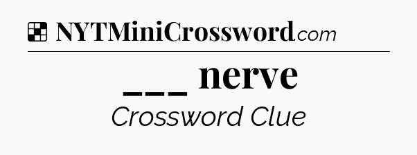 Solution: ___ nerve - NYT Crossword