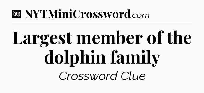 Largest member of the dolphin family Crossword Clue