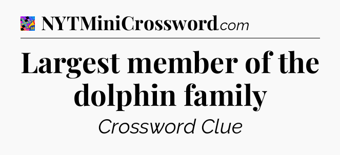 Largest member of the dolphin family Crossword Clue
