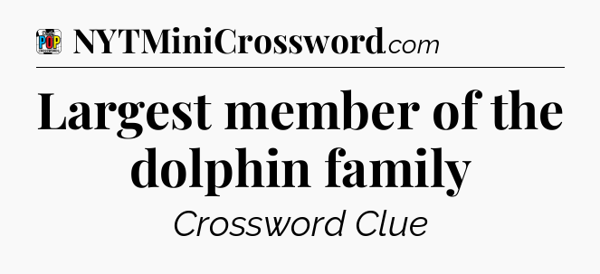 Largest member of the dolphin family Crossword Clue