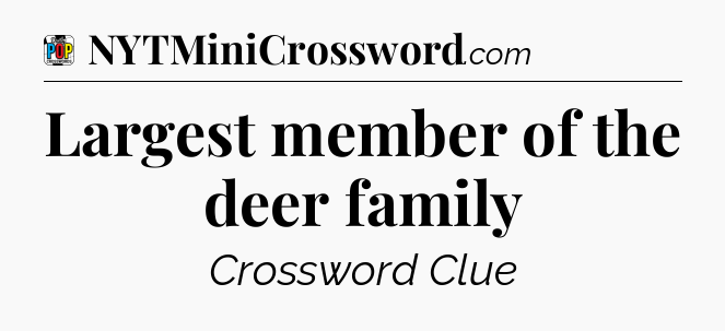 Largest member of the deer family Crossword Clue