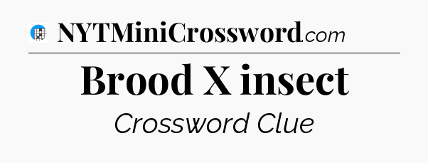 Brood X insect Crossword Clue