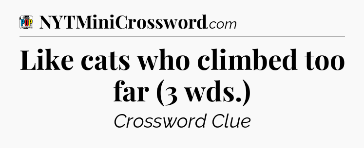 Like cats who climbed too far (3 wds.) Crossword Clue