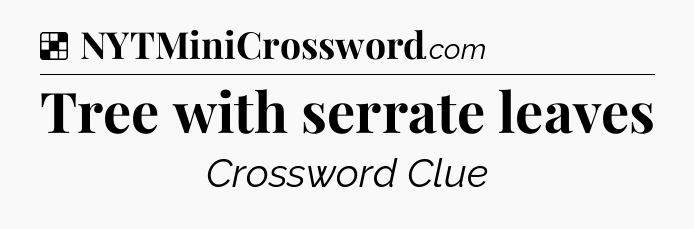 Solution: Tree with serrate leaves - NYT Crossword
