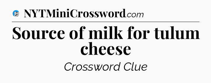 Source of milk for tulum cheese Crossword Clue