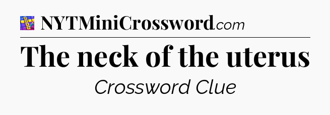 The neck of the uterus Codycross