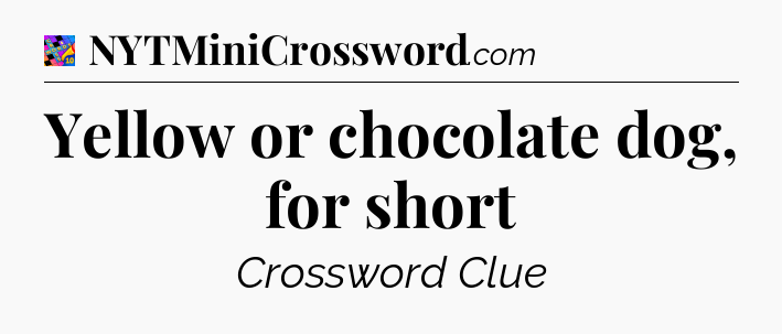 Yellow or chocolate dog, for short Crossword Clue