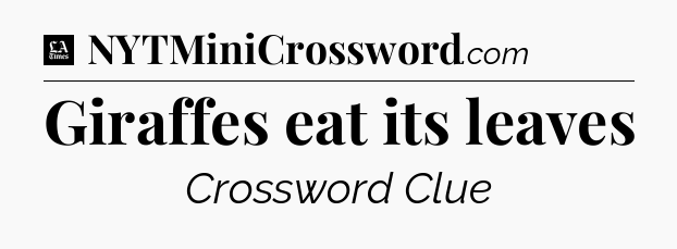 Giraffes eat its leaves - LA Times Crossword