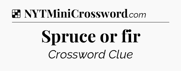 Solution: Spruce or fir - NYT Crossword
