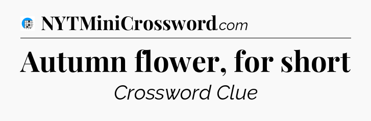 Autumn flower, for short Crossword Clue