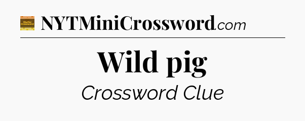 Wild pig - Eugene Sheffer Crossword