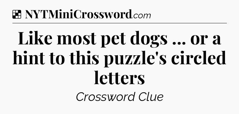 Solution: Like most pet dogs ... or a hint to this puzzle's circled letters - NYT Crossword