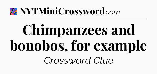 Chimpanzees and bonobos, for example Crossword Clue
