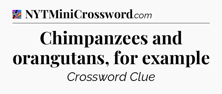 Chimpanzees and orangutans, for example Crossword Clue
