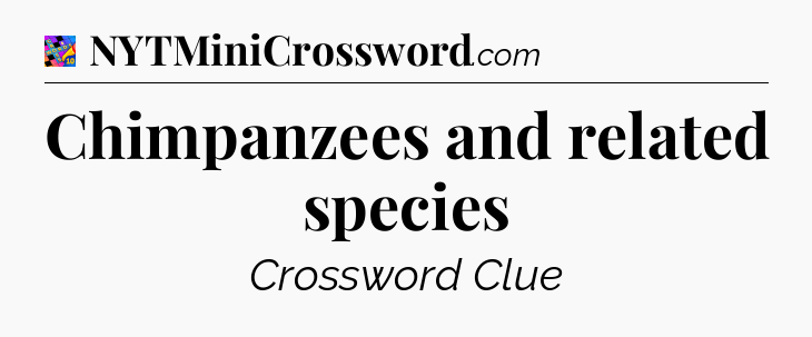 Chimpanzees and related species Crossword Clue