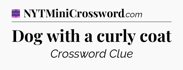 Dog with a curly coat - Thomas Joseph Crossword