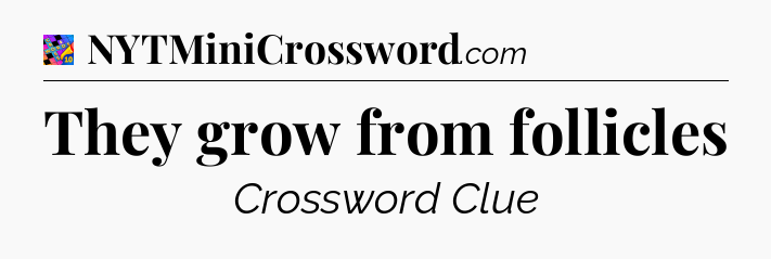 They grow from follicles Crossword Clue