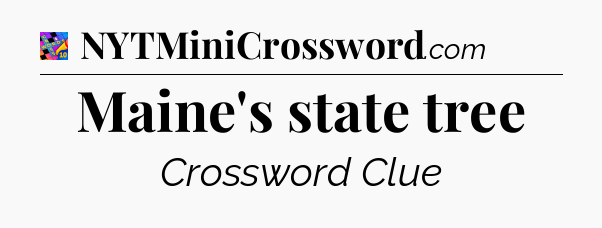 Maine's state tree Crossword Clue