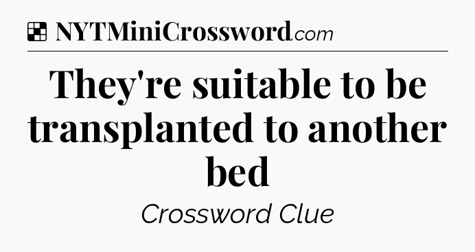 Solution: They're suitable to be transplanted to another bed - NYT Crossword