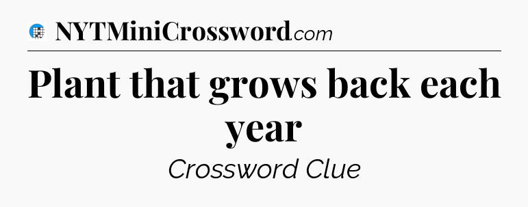 Plant that grows back each year Crossword Clue