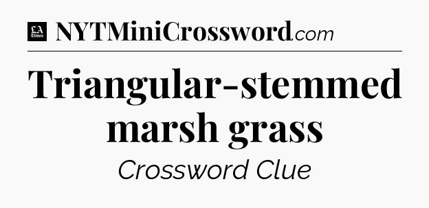 Triangular-stemmed marsh grass - LA Times Crossword