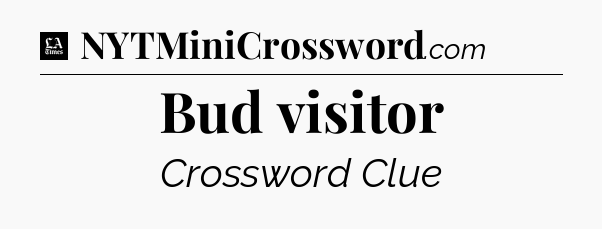 Bud visitor - LA Times Crossword