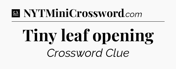 Tiny leaf opening - LA Times Crossword