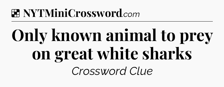 Solution: Only known animal to prey on great white sharks - NYT Crossword