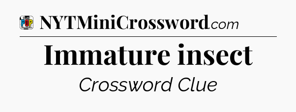 Immature insect Crossword Clue