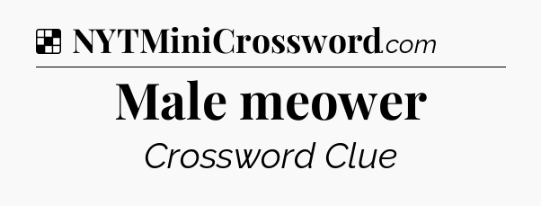 Solution: Male meower - NYT Crossword