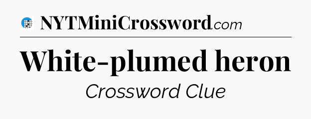 White-plumed heron Crossword Clue