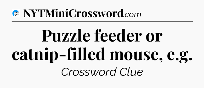 Puzzle feeder or catnip-filled mouse, e.g Crossword Clue
