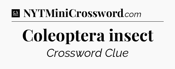 Coleoptera insect - LA Times Crossword