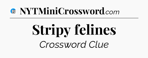 Stripy felines Crossword Clue