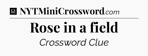 Rose in a field - LA Times Crossword