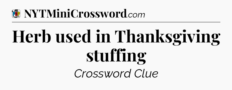 Herb used in Thanksgiving stuffing Crossword Clue