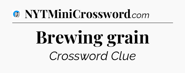 Brewing grain Crossword Clue