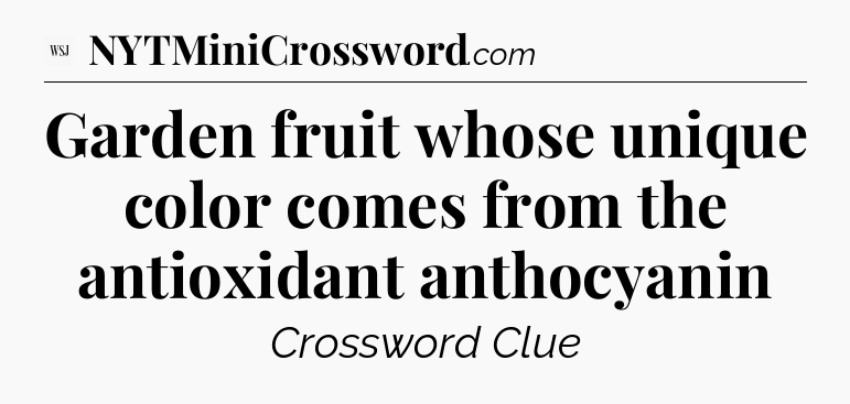 Garden fruit whose unique color comes from the antioxidant anthocyanin - WSJ Crossword