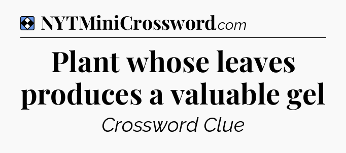 Solution: Plant whose leaves produces a valuable gel - NYT Mini Crossword
