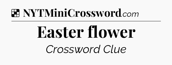 Solution: Easter flower - NYT Crossword