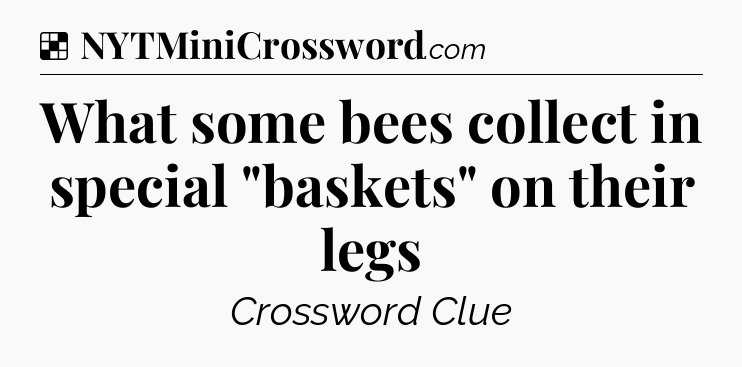 Solution: What some bees collect in special 