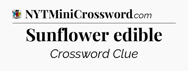 Sunflower edible Crossword Clue