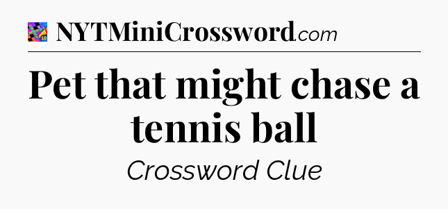 Pet that might chase a tennis ball Crossword Clue
