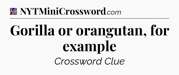 Gorilla or orangutan, for example Crossword Clue