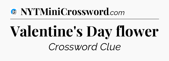 Valentine's Day flower Crossword Clue