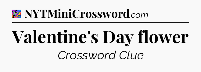 Valentine's Day flower Crossword Clue
