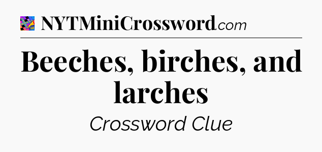 Beeches, birches, and larches Crossword Clue