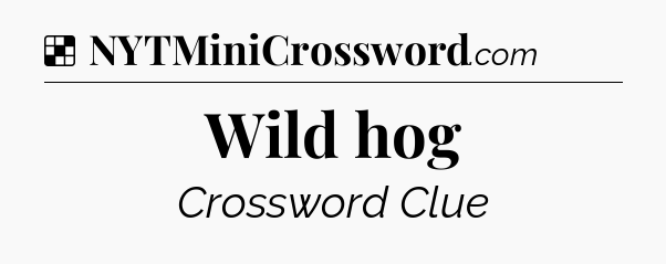 Solution: Wild hog - NYT Crossword
